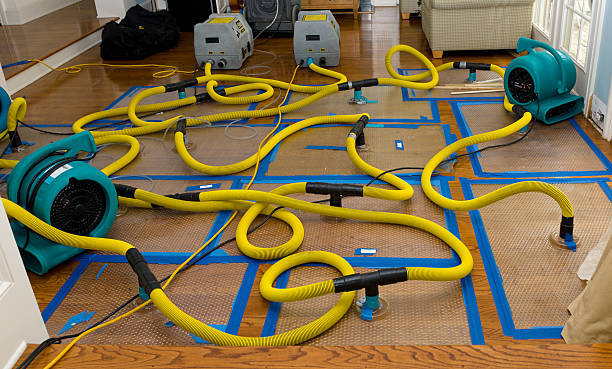 Professional Flood Damage Restoration technician working in Lewistown, OH