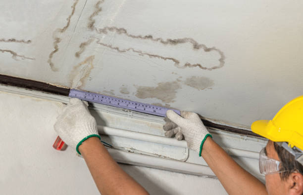 Affordable Water Damage Repair solutions in Lewistown, OH